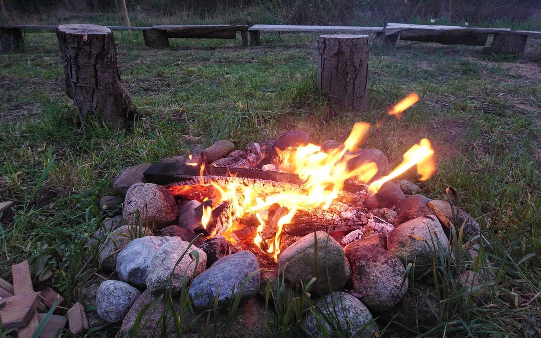 Forse groei op democratische school De Vuurvlinder