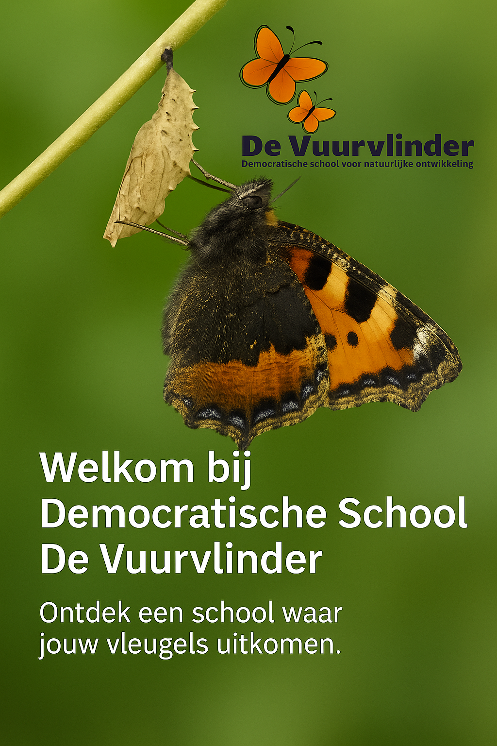 Leerlingen van democratische school De Vuurvlinder werken samen in een vrije leeromgeving in Stadskanaal.
